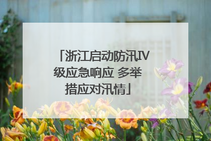 浙江启动防汛Ⅳ级应急响应 多举措应对汛情