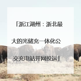 浙江湖州：浙北最大的光储充一体化公交充电站并网投运