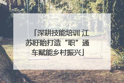 深耕技能培训 江苏盱眙打造“职”通车赋能乡村振兴