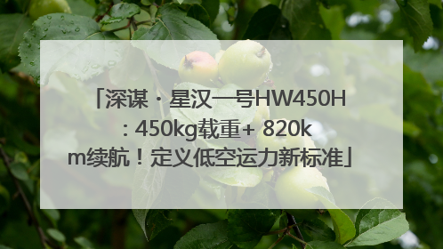 深谋・星汉一号HW450H：450kg载重+ 820km续航！定义低空运力新标准