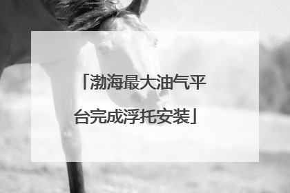 渤海最大油气平台完成浮托安装
