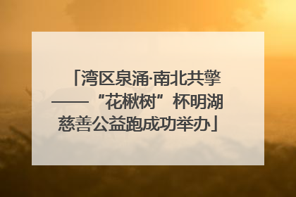 湾区泉涌·南北共擎——“花楸树”杯明湖慈善公益跑成功举办