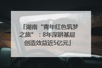 湖南“青年红色筑梦之旅”：8年深耕基层创造效益近5亿元