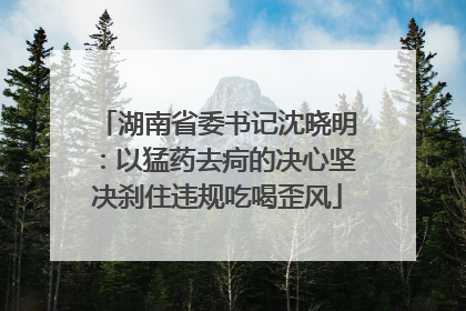 湖南省委书记沈晓明：以猛药去疴的决心坚决刹住违规吃喝歪风