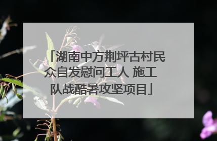 湖南中方荆坪古村民众自发慰问工人 施工队战酷暑攻坚项目