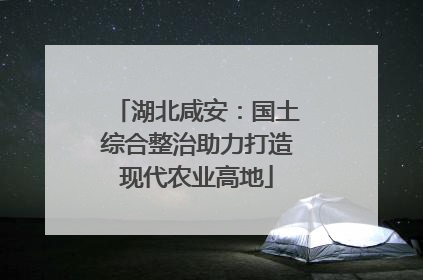 湖北咸安：国土综合整治助力打造现代农业高地