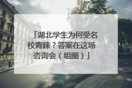 湖北学生为何受名校青睐？答案在这场咨询会（组图）