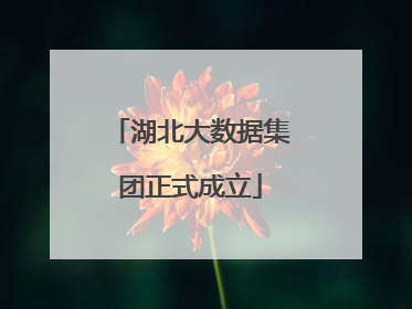 湖北大数据集团正式成立