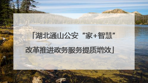 湖北通山公安“家+智慧”改革推进政务服务提质增效