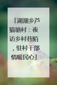 湖潮乡芦猫塘村：夜访乡村巷陌，驻村干部情暖民心