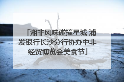 湘非风味碰撞星城 浦发银行长沙分行协办中非经贸博览会美食节