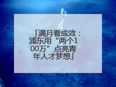 满月看成效：浦东用“两个100万”点亮青年人才梦想