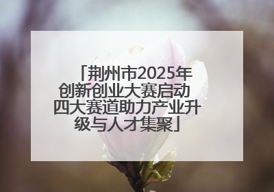 荆州市2025年创新创业大赛启动 四大赛道助力产业升级与人才集聚