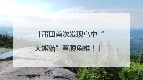 莆田首次发现鸟中“大熊猫”黄腹角雉！