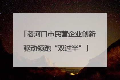 老河口市民营企业创新驱动领跑“双过半”