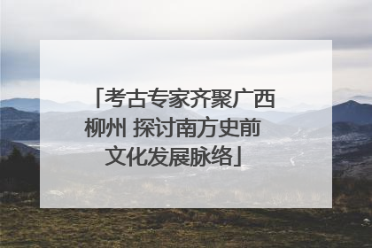 考古专家齐聚广西柳州 探讨南方史前文化发展脉络