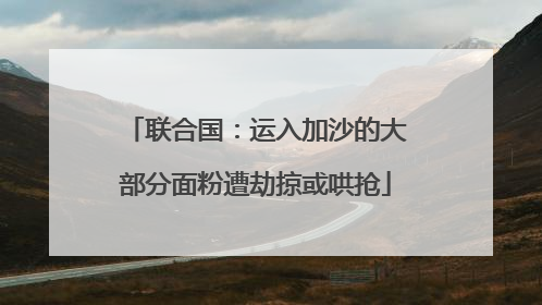 联合国：运入加沙的大部分面粉遭劫掠或哄抢