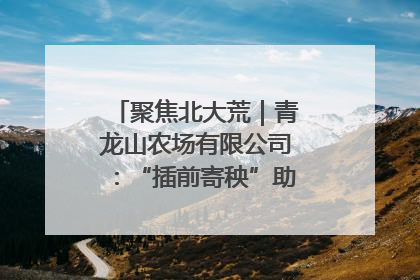 聚焦北大荒｜青龙山农场有限公司：“插前寄秧”助力农业节本增效
