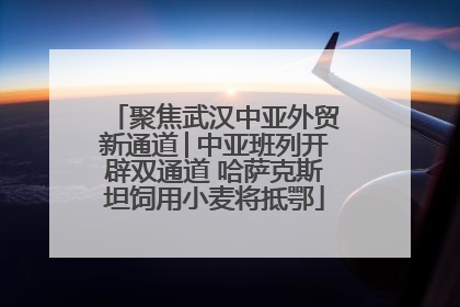 聚焦武汉中亚外贸新通道│中亚班列开辟双通道 哈萨克斯坦饲用小麦将抵鄂