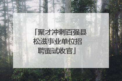 聚才冲刺百强县 松滋事业单位招聘面试收官