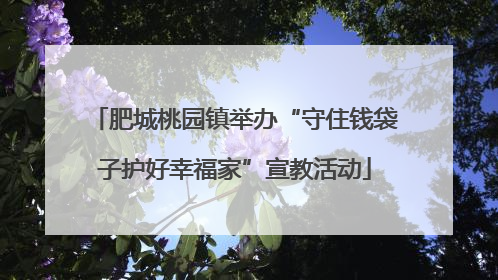 肥城桃园镇举办“守住钱袋子护好幸福家”宣教活动