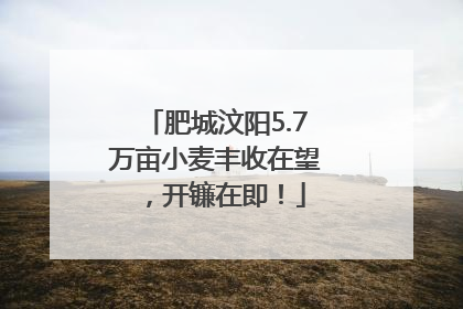 肥城汶阳5.7万亩小麦丰收在望，开镰在即！