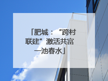 肥城：“跨村联建”激活共富一池春水