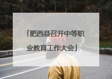 肥西县召开中等职业教育工作大会