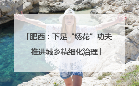 肥西：下足“绣花”功夫 推进城乡精细化治理