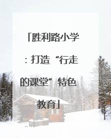 胜利路小学：打造“行走的课堂”特色教育