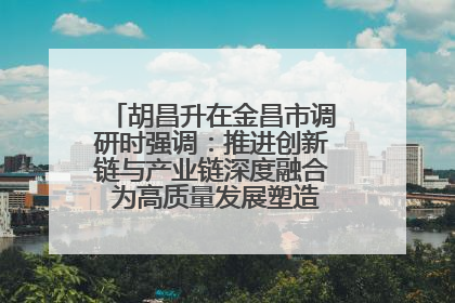 胡昌升在金昌市调研时强调：推进创新链与产业链深度融合 为高质量发展塑造新动能新优势