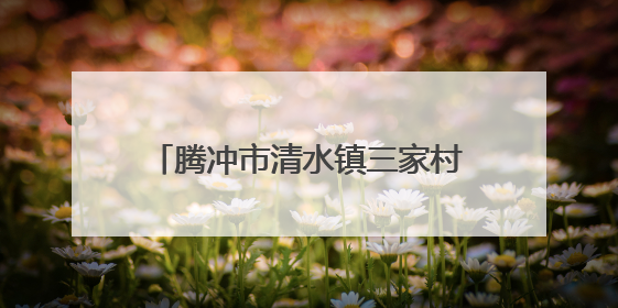 腾冲市清水镇三家村：“微治理”构建乡村善治“大格局”