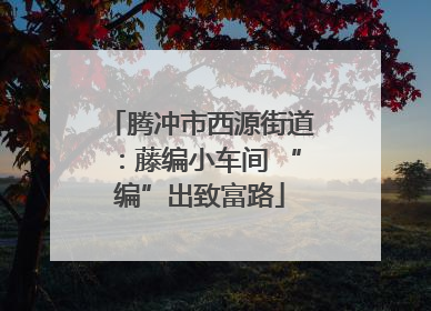 腾冲市西源街道：藤编小车间 “编”出致富路
