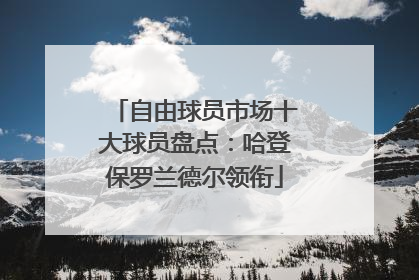 自由球员市场十大球员盘点：哈登保罗兰德尔领衔