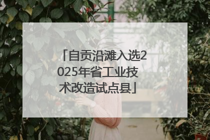 自贡沿滩入选2025年省工业技术改造试点县