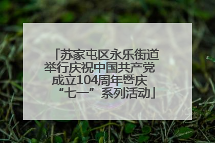 苏家屯区永乐街道举行庆祝中国共产党成立104周年暨庆“七一”系列活动