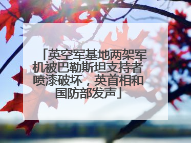 英空军基地两架军机被巴勒斯坦支持者喷漆破坏，英首相和国防部发声