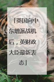 英国向中东增派战机后，英财政大臣最新表态