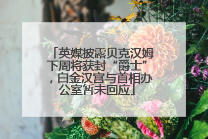 英媒披露贝克汉姆下周将获封“爵士”，白金汉宫与首相办公室暂未回应