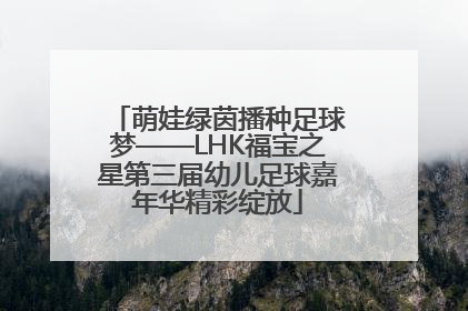 萌娃绿茵播种足球梦——LHK福宝之星第三届幼儿足球嘉年华精彩绽放