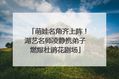 萌娃名角齐上阵！湖艺名师凌静携弟子燃爆杜鹃花剧场