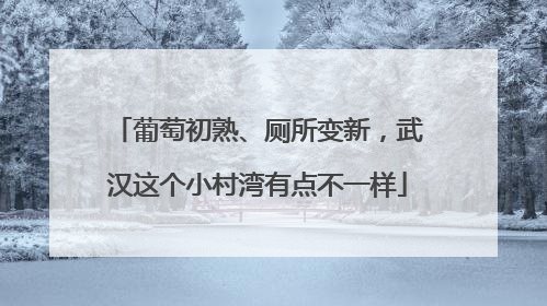 葡萄初熟、厕所变新，武汉这个小村湾有点不一样
