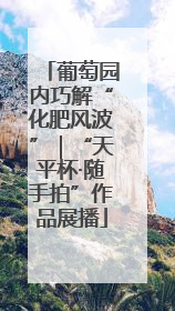 葡萄园内巧解“化肥风波”｜“天平杯·随手拍”作品展播