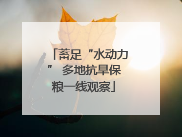 蓄足“水动力” 多地抗旱保粮一线观察