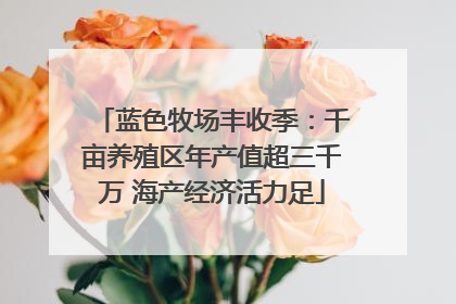 蓝色牧场丰收季：千亩养殖区年产值超三千万 海产经济活力足