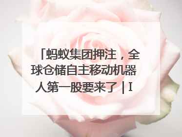 蚂蚁集团押注，全球仓储自主移动机器人第一股要来了｜IPO直通车