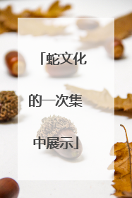蛇文化的一次集中展示