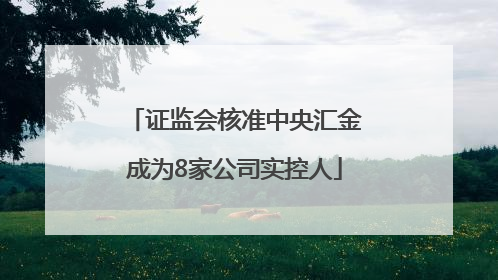 证监会核准中央汇金成为8家公司实控人