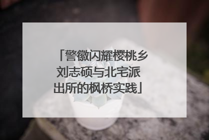 警徽闪耀樱桃乡 刘志硕与北宅派出所的枫桥实践