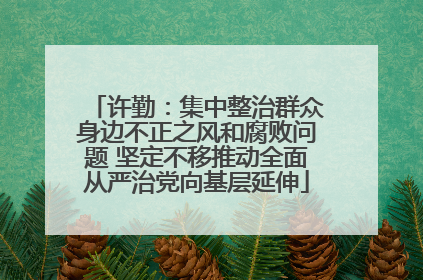 许勤：集中整治群众身边不正之风和腐败问题 坚定不移推动全面从严治党向基层延伸